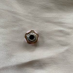 Pandora murano glass charm